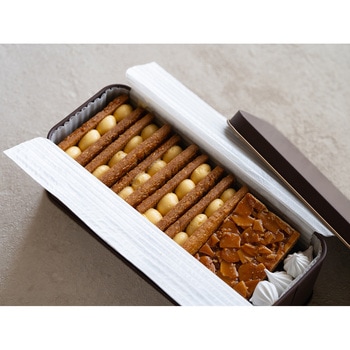 フィーネ缶 専用グラシン紙 cotta