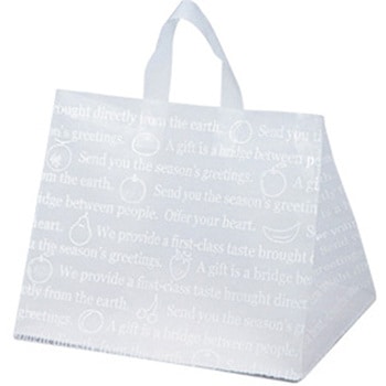 L-1000 モストロイヤルバッグ - cotta