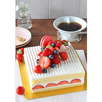 KHS 底取れ スクエア型 15cm cotta