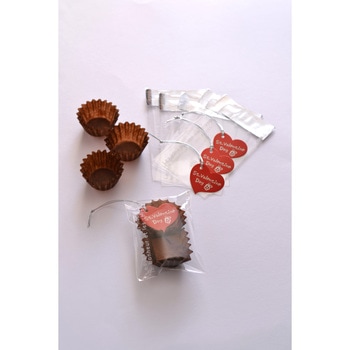 CSEケース チョコ 4F(500枚入) cotta