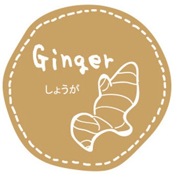 テイスティシール しょうが cotta