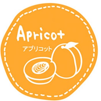 テイスティシール アプリコット cotta