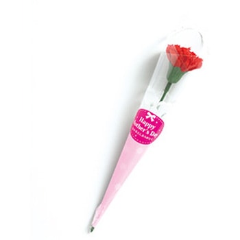 Nギフトカーネーション 小 - cotta