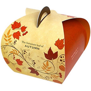 バルーンBOX 秋 cotta