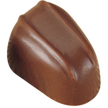 ポリカーボネイトチョコレートモールド MA1088 cotta