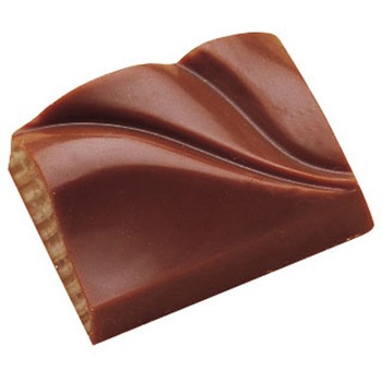 ポリカーボネイトチョコレートモールド MA1620 - cotta