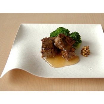 WASARA 角皿(大) 6枚入 cotta