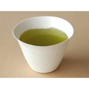 WASARA 猪口 12個入 cotta