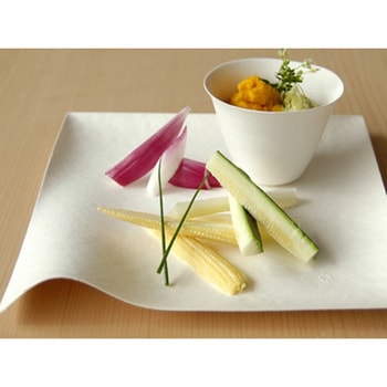 WASARA 角皿(特大) 6枚入 cotta