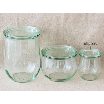 WECK Tulip  220 cotta