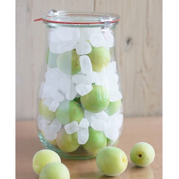 WECK Tulip Jar 1750 cotta
