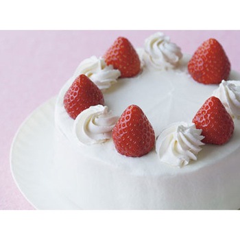 CKPDアルミフッ素ホール15cm底取 - cotta