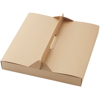 ネオクラフト キャリーピサ゛BOX M cotta