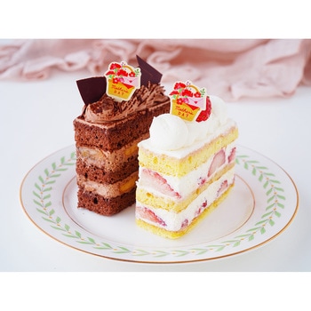 cotta ケーキピック 母の日 花かご(10片) cotta