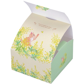 ギフト箱  メルミモザ 13×13 cotta