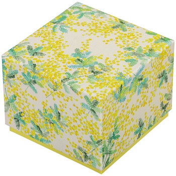 ギフト箱 貼箱 メルミモザ - cotta