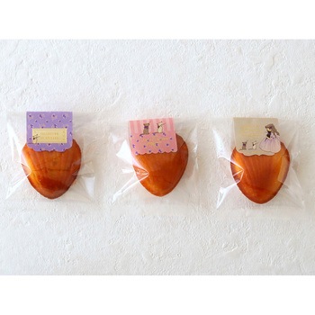 cotta ヘッダーシール こねことわたし cotta