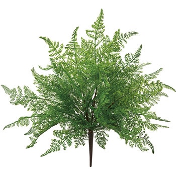 エクステリアソフティシダーブッシュ - MAGIQ(東京堂)