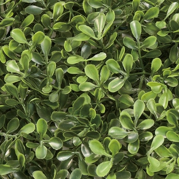 エクステリアボックスウッドマット50 MAGIQ(東京堂)