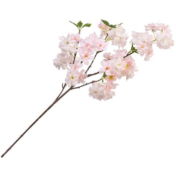 はなな桜 MAGIQ(東京堂)