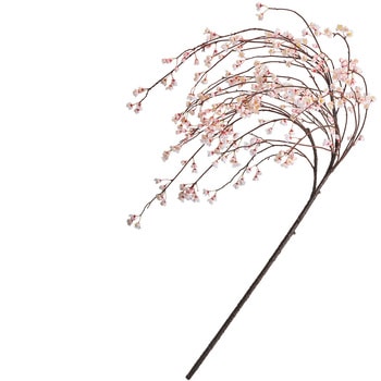 しだれ桜 大 MAGIQ(東京堂)