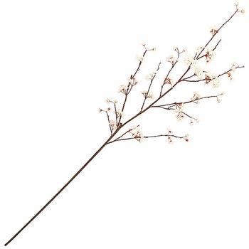 しおり桜 MAGIQ(東京堂)
