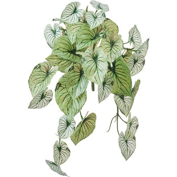 ライムカラジュームミニバイン MAGIQ(東京堂)