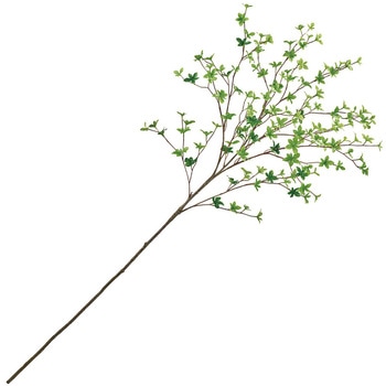 ドウダンツツジ枝 大 MAGIQ(東京堂)