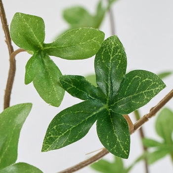 ドウダンツツジ枝 大 MAGIQ(東京堂)