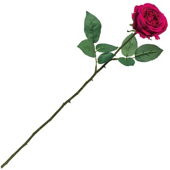 ラフィネスローズ MAGIQ(東京堂)