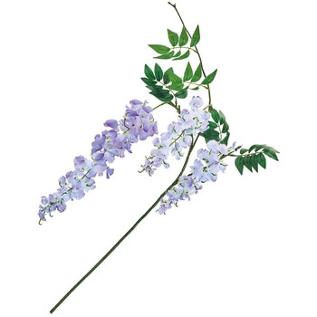 涼の藤枝 - MAGIQ(東京堂)