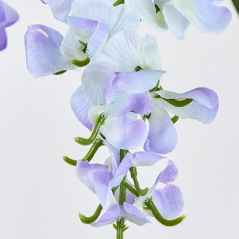 涼の藤枝 - MAGIQ(東京堂)