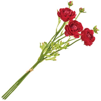 チアフルラナンバンドル MAGIQ(東京堂)