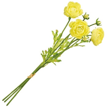 チアフルラナンバンドル MAGIQ(東京堂)