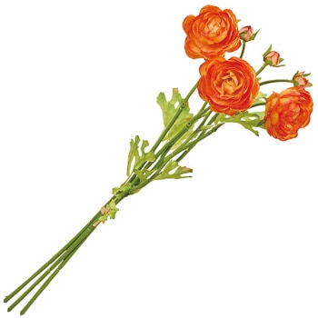 チアフルラナンバンドル MAGIQ(東京堂)