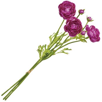 チアフルラナンバンドル MAGIQ(東京堂)