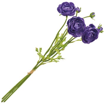 チアフルラナンバンドル MAGIQ(東京堂)