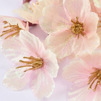 月夜の桜 落ち輪 MAGIQ(東京堂)