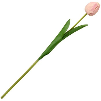 FM007848-106 �`�A�t���`���[���b�v ������ 16888116