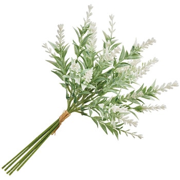 マリーラベンダーピック MAGIQ(東京堂)