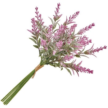 マリーラベンダーピック MAGIQ(東京堂)