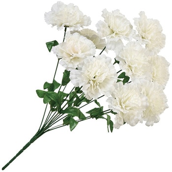 マリーカーネーションブッシュ MAGIQ(東京堂)