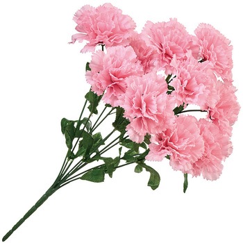 マリーカーネーションブッシュ - MAGIQ(東京堂)