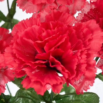 マリーカーネーションブッシュ - MAGIQ(東京堂)