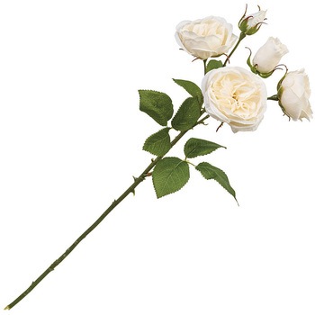 FM009086-001 �~�����_���[�Y MAGIQ(������) 16888667