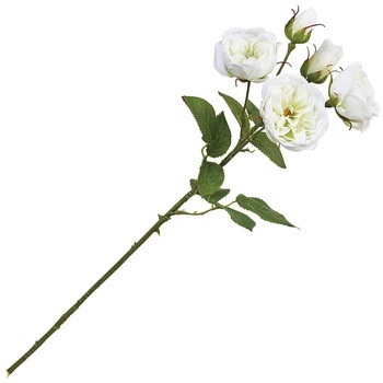 FM009086-101 �~�����_���[�Y MAGIQ(������) 16888719