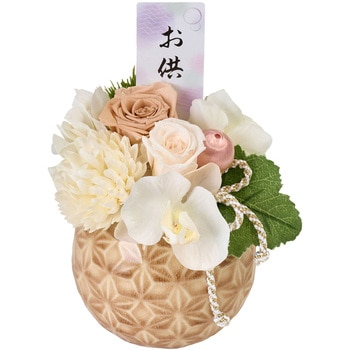 杏奈(あんな) 東京堂