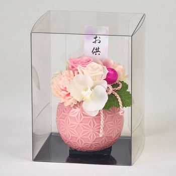 杏奈(あんな) 東京堂