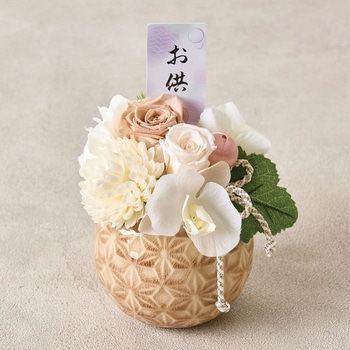 杏奈(あんな) 東京堂