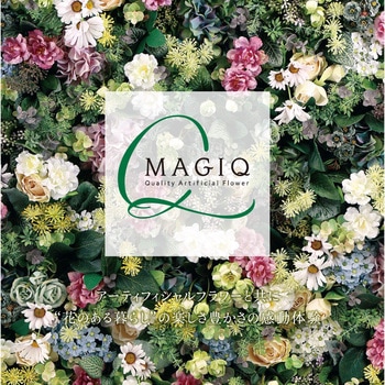 モスウッドフレーム MAGIQ(東京堂)
